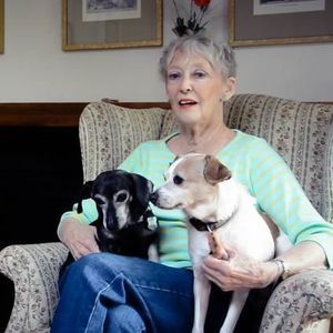 Meet your Posher, Nancy